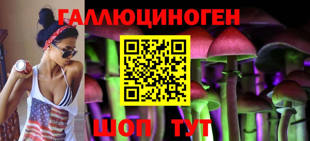 Псилоцибиновые грибы Psilocybine cubensis Малгобек